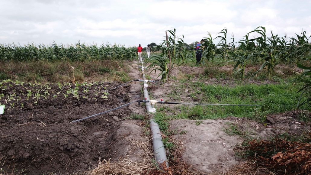 GemIndustrialsolutions3 GEM Industrial Solutions