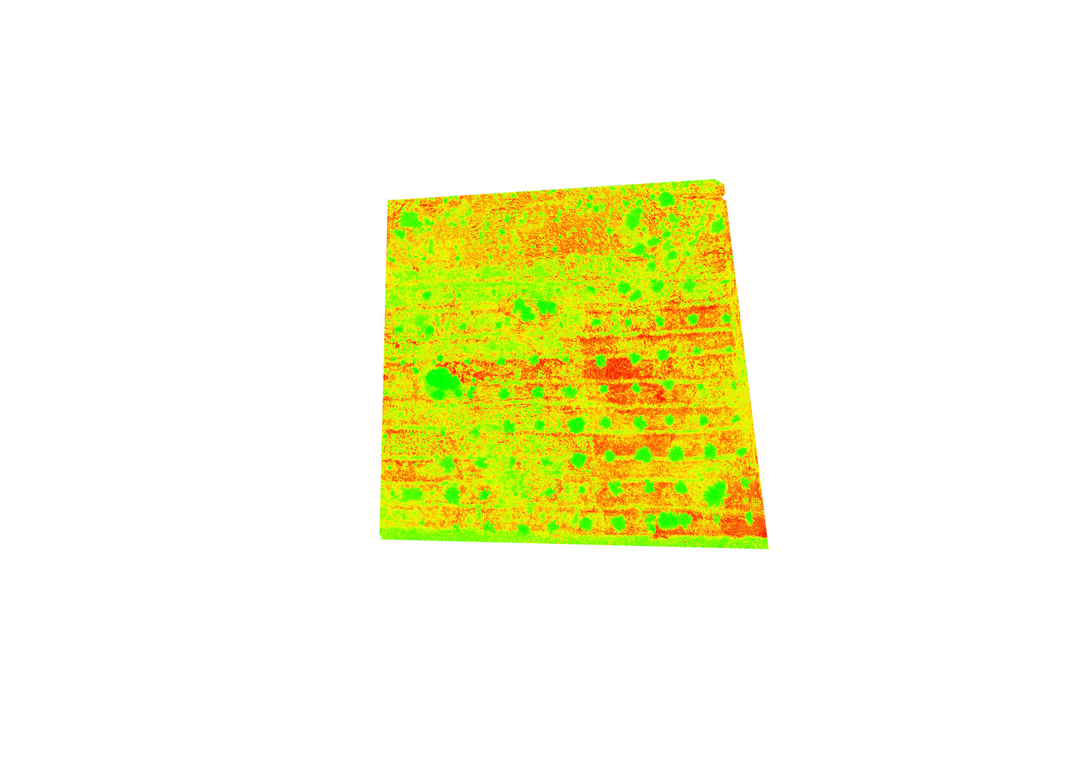 Health Assessment & Spraying GEM Industrial Solutions